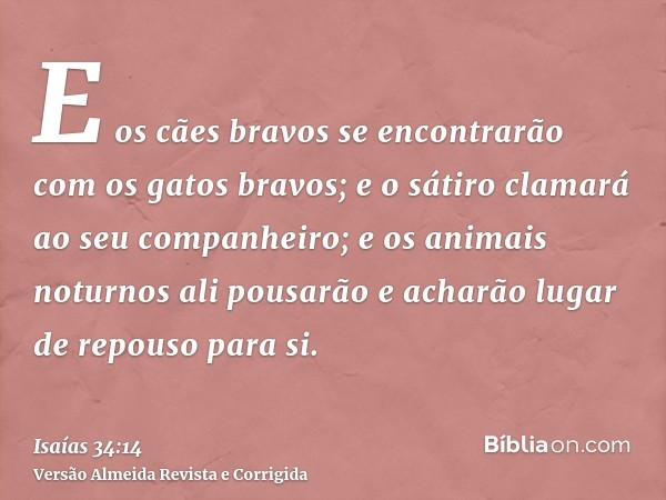 E os cães bravos se encontrarão com os gatos bravos; e o sátiro clamará ao seu companheiro; e os animais noturnos ali pousarão e acharão lugar de repouso para s
