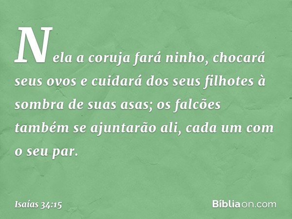 Nela a coruja fará ninho,
chocará seus ovos
e cuidará dos seus filhotes
à sombra de suas asas;
os falcões também se ajuntarão ali,
cada um com o seu par. -- Isa