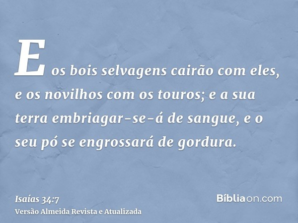 E os bois selvagens cairão com eles, e os novilhos com os touros; e a sua terra embriagar-se-á de sangue, e o seu pó se engrossará de gordura.