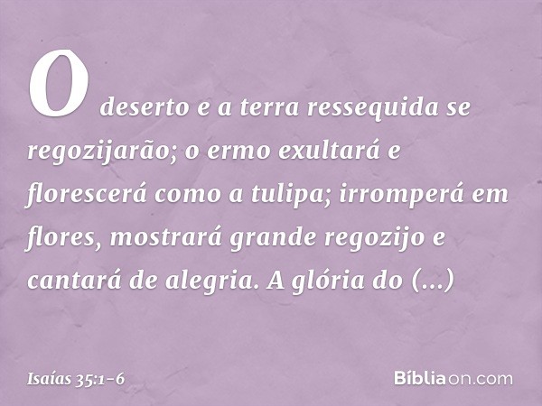 O deserto e a terra ressequida
se regozijarão;
o ermo exultará e florescerá
como a tulipa; irromperá em flores,
mostrará grande regozijo
e cantará de alegria.
A