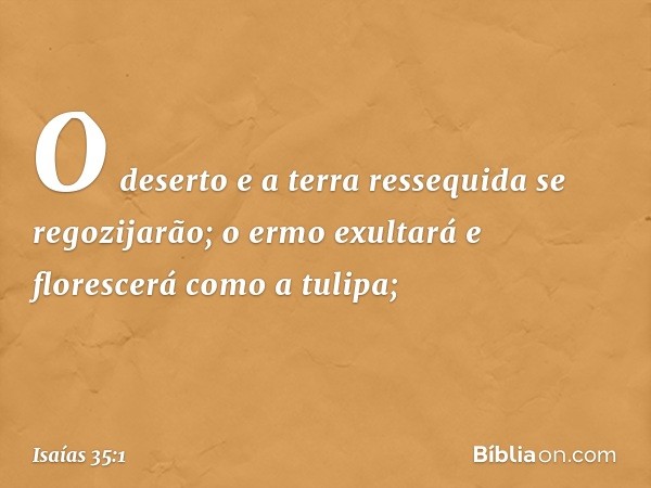 O deserto e a terra ressequida
se regozijarão;
o ermo exultará e florescerá
como a tulipa; -- Isaías 35:1