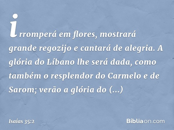 irromperá em flores,
mostrará grande regozijo
e cantará de alegria.
A glória do Líbano lhe será dada,
como também o resplendor do Carmelo
e de Sarom;
verão a gl