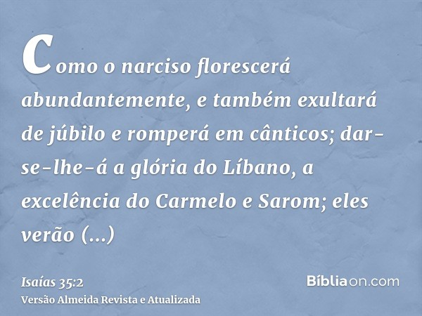 como o narciso florescerá abundantemente, e também exultará de júbilo e romperá em cânticos; dar-se-lhe-á a glória do Líbano, a excelência do Carmelo e Sarom; e