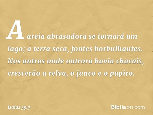 A areia abrasadora se tornará um lago;
a terra seca, fontes borbulhantes.
Nos antros onde outrora havia chacais,
crescerão a relva, o junco e o papiro. -- Isaía