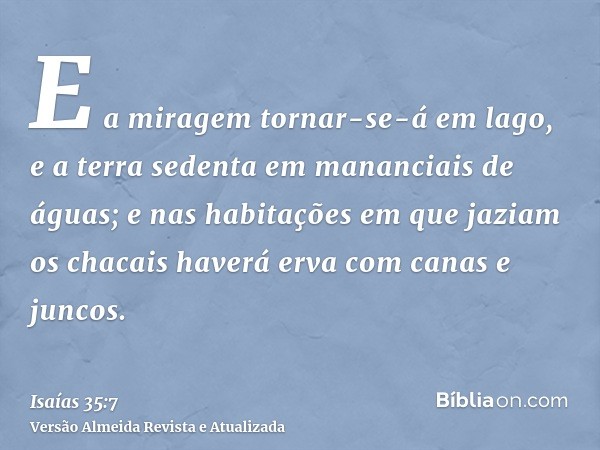 E a miragem tornar-se-á em lago, e a terra sedenta em mananciais de águas; e nas habitações em que jaziam os chacais haverá erva com canas e juncos.