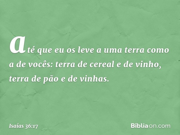 até que eu os leve a uma terra como a de vocês: terra de cereal e de vinho, terra de pão e de vinhas. -- Isaías 36:17