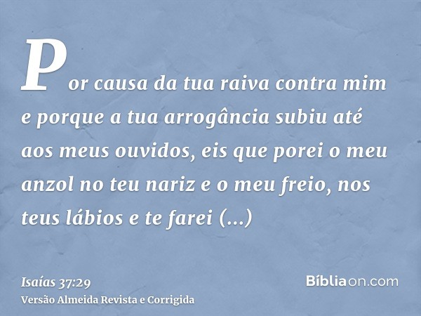 Por causa da tua raiva contra mim e porque a tua arrogância subiu até aos meus ouvidos, eis que porei o meu anzol no teu nariz e o meu freio, nos teus lábios e 