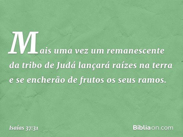 Mais uma vez um remanescente
da tribo de Judá
lançará raízes na terra
e se encherão de frutos os seus ramos. -- Isaías 37:31