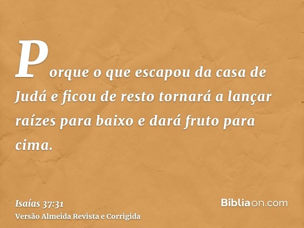 Porque o que escapou da casa de Judá e ficou de resto tornará a lançar raízes para baixo e dará fruto para cima.