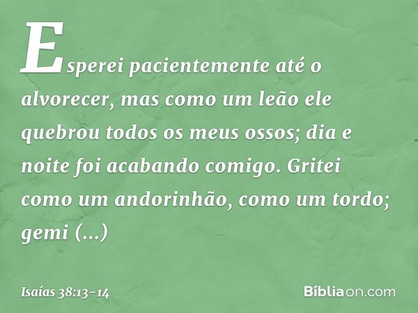 Esperei pacientemente até o alvorecer,
mas como um leão
ele quebrou todos os meus ossos;
dia e noite foi acabando comigo. Gritei como um andorinhão,
como um tor