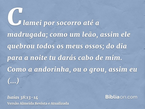 Clamei por socorro até a madrugada; como um leão, assim ele quebrou todos os meus ossos; do dia para a noite tu darás cabo de mim.Como a andorinha, ou o grou, a