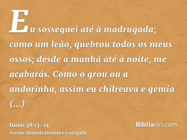 Eu sosseguei até à madrugada; como um leão, quebrou todos os meus ossos; desde a manhã até à noite, me acabarás.Como o grou ou a andorinha, assim eu chilreava e