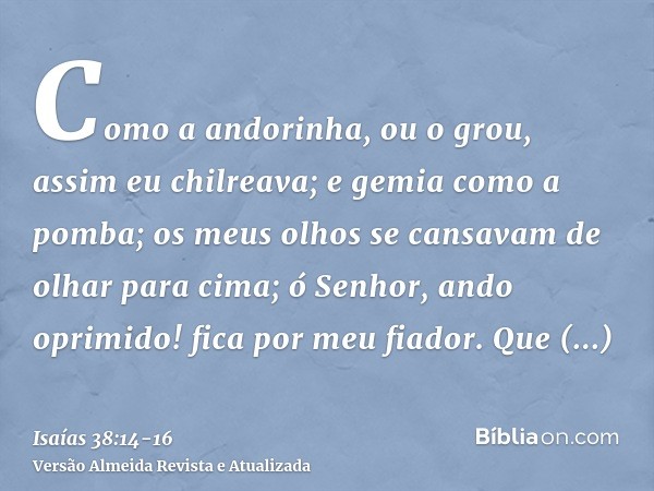 Como a andorinha, ou o grou, assim eu chilreava; e gemia como a pomba; os meus olhos se cansavam de olhar para cima; ó Senhor, ando oprimido! fica por meu fiado