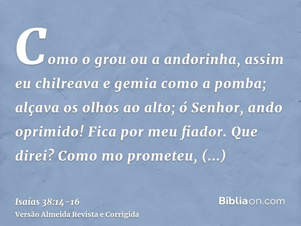 Como o grou ou a andorinha, assim eu chilreava e gemia como a pomba; alçava os olhos ao alto; ó Senhor, ando oprimido! Fica por meu fiador.Que direi? Como mo pr