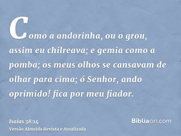 Como a andorinha, ou o grou, assim eu chilreava; e gemia como a pomba; os meus olhos se cansavam de olhar para cima; ó Senhor, ando oprimido! fica por meu fiado