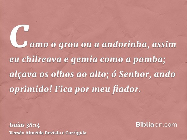 Como o grou ou a andorinha, assim eu chilreava e gemia como a pomba; alçava os olhos ao alto; ó Senhor, ando oprimido! Fica por meu fiador.