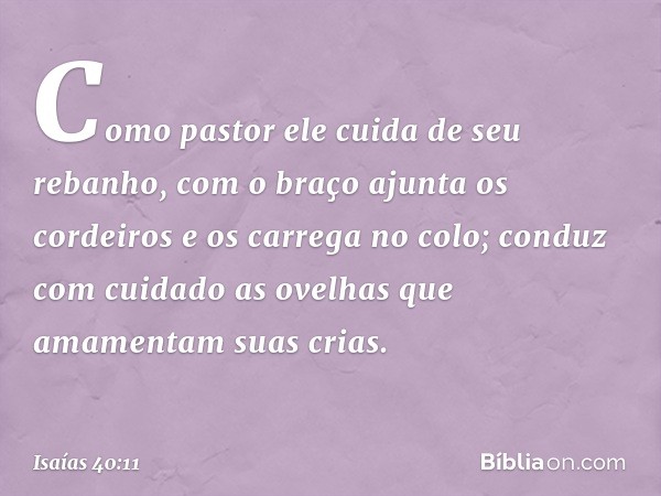 Como pastor ele cuida de seu rebanho,
com o braço ajunta os cordeiros
e os carrega no colo;
conduz com cuidado
as ovelhas que amamentam suas crias. -- Isaías 40