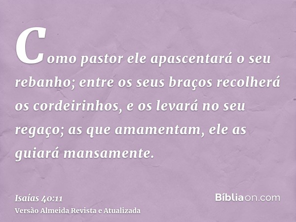 Como pastor ele apascentará o seu rebanho; entre os seus braços recolherá os cordeirinhos, e os levará no seu regaço; as que amamentam, ele as guiará mansamente