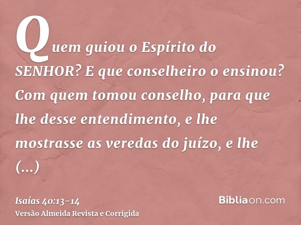 Quem guiou o Espírito do SENHOR? E que conselheiro o ensinou?Com quem tomou conselho, para que lhe desse entendimento, e lhe mostrasse as veredas do juízo, e lh