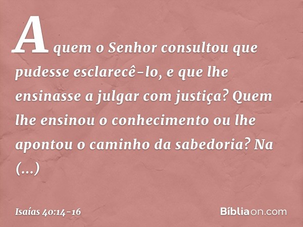 A quem o Senhor consultou
que pudesse esclarecê-lo,
e que lhe ensinasse a julgar com justiça?
Quem lhe ensinou o conhecimento
ou lhe apontou o caminho da sabedo