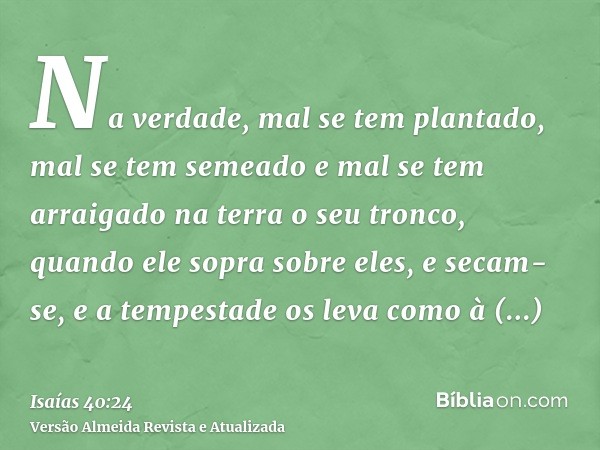 Na verdade, mal se tem plantado, mal se tem semeado e mal se tem arraigado na terra o seu tronco, quando ele sopra sobre eles, e secam-se, e a tempestade os lev