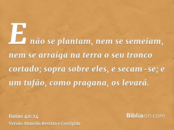 E não se plantam, nem se semeiam, nem se arraiga na terra o seu tronco cortado; sopra sobre eles, e secam-se; e um tufão, como pragana, os levará.