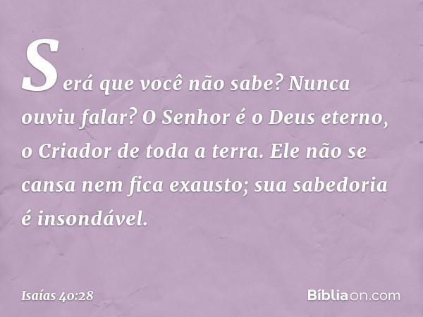 Será que você não sabe?
Nunca ouviu falar?
O Senhor é o Deus eterno,
o Criador de toda a terra.
Ele não se cansa nem fica exausto;
sua sabedoria é insondável. -