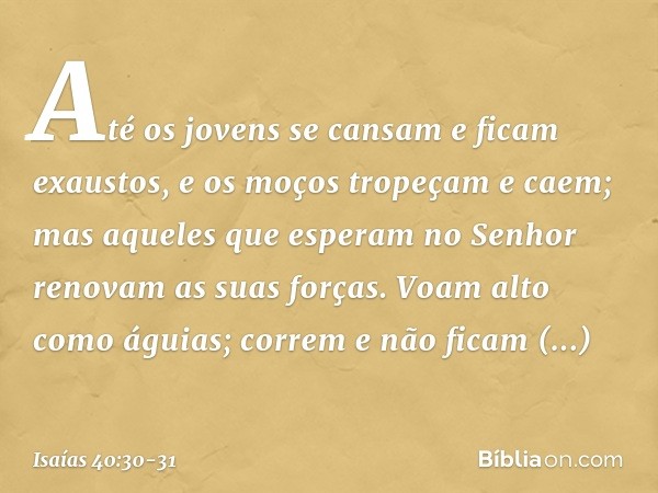 Até os jovens se cansam
e ficam exaustos,
e os moços tropeçam e caem; mas aqueles que esperam no Senhor
renovam as suas forças.
Voam alto como águias;
correm e 