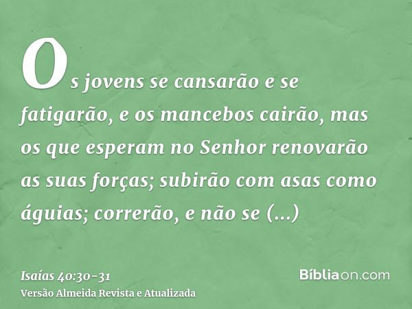 Os jovens se cansarão e se fatigarão, e os mancebos cairão,mas os que esperam no Senhor renovarão as suas forças; subirão com asas como águias; correrão, e não 