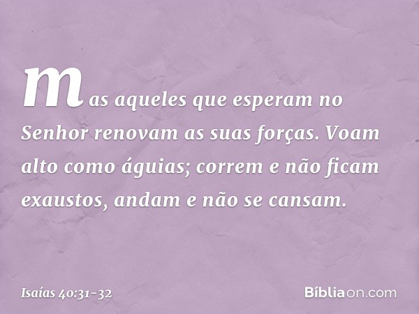 mas aqueles que esperam no Senhor
renovam as suas forças.
Voam alto como águias;
correm e não ficam exaustos,
andam e não se cansam. -- Isaías 40:31-32