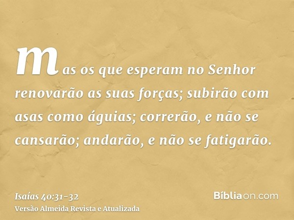 mas os que esperam no Senhor renovarão as suas forças; subirão com asas como águias; correrão, e não se cansarão; andarão, e não se fatigarão.
