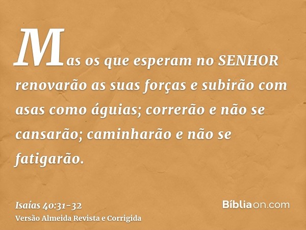 Mas os que esperam no SENHOR renovarão as suas forças e subirão com asas como águias; correrão e não se cansarão; caminharão e não se fatigarão.