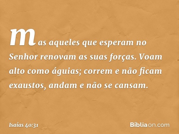 mas aqueles que esperam no Senhor
renovam as suas forças.
Voam alto como águias;
correm e não ficam exaustos,
andam e não se cansam. -- Isaías 40:31