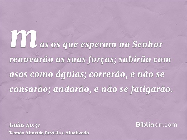 mas os que esperam no Senhor renovarão as suas forças; subirão com asas como águias; correrão, e não se cansarão; andarão, e não se fatigarão.