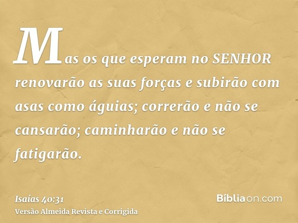 Mas os que esperam no SENHOR renovarão as suas forças e subirão com asas como águias; correrão e não se cansarão; caminharão e não se fatigarão.