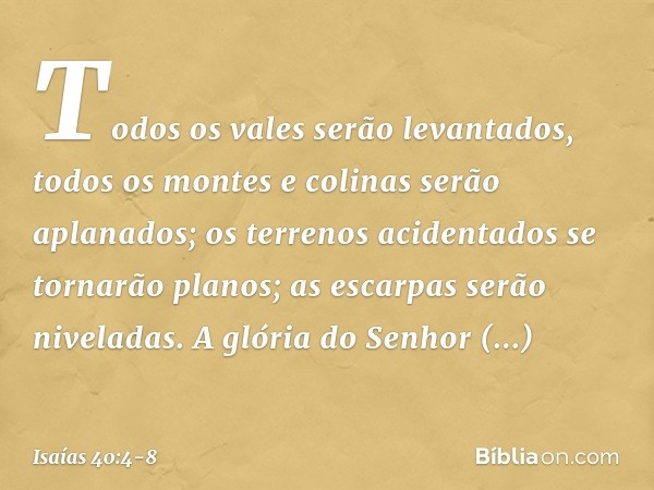 Todos os vales serão levantados,
todos os montes e colinas
serão aplanados;
os terrenos acidentados
se tornarão planos;
as escarpas serão niveladas. A glória do