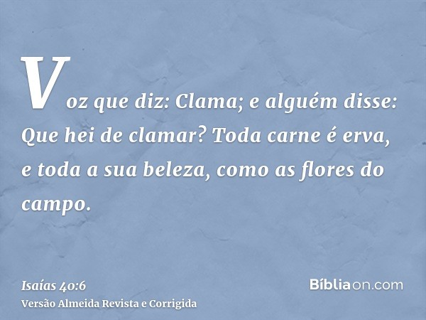 Voz que diz: Clama; e alguém disse: Que hei de clamar? Toda carne é erva, e toda a sua beleza, como as flores do campo.