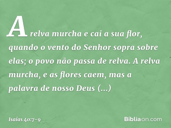 A relva murcha e cai a sua flor,
quando o vento do Senhor
sopra sobre elas;
o povo não passa de relva. A relva murcha, e as flores caem,
mas a palavra de nosso 