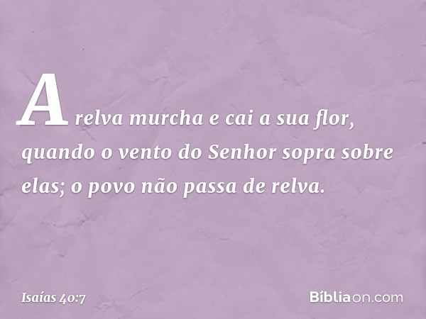 A relva murcha e cai a sua flor,
quando o vento do Senhor
sopra sobre elas;
o povo não passa de relva. -- Isaías 40:7