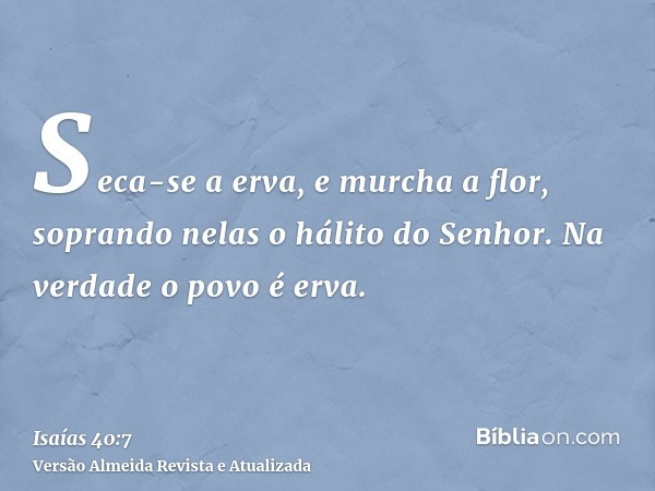 Seca-se a erva, e murcha a flor, soprando nelas o hálito do Senhor. Na verdade o povo é erva.