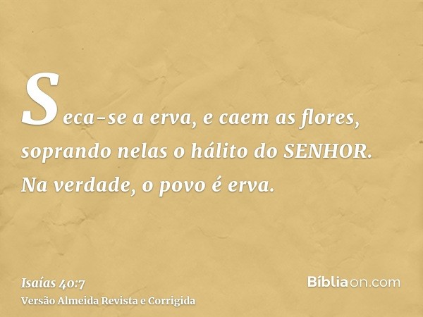 Seca-se a erva, e caem as flores, soprando nelas o hálito do SENHOR. Na verdade, o povo é erva.