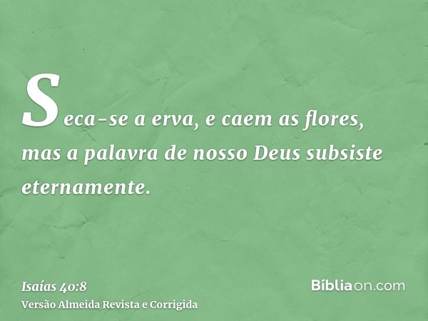 Seca-se a erva, e caem as flores, mas a palavra de nosso Deus subsiste eternamente.
