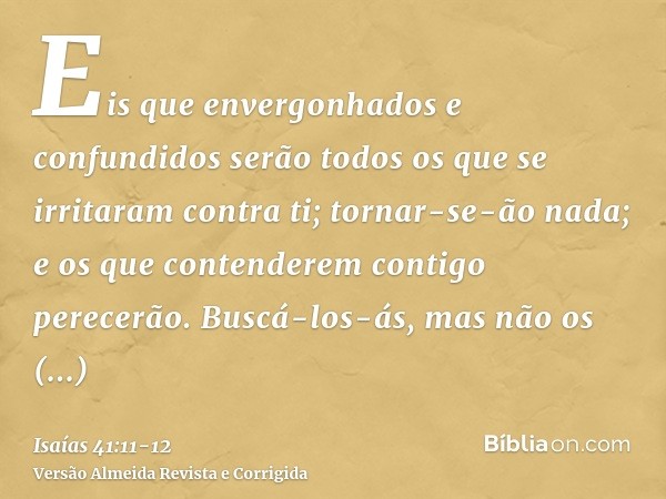 Eis que envergonhados e confundidos serão todos os que se irritaram contra ti; tornar-se-ão nada; e os que contenderem contigo perecerão.Buscá-los-ás, mas não o