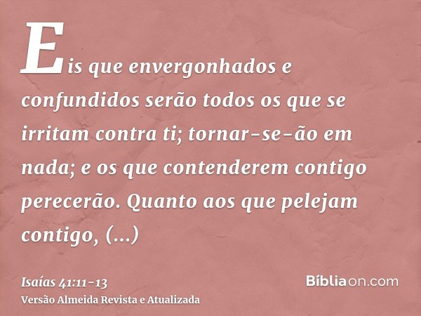 Eis que envergonhados e confundidos serão todos os que se irritam contra ti; tornar-se-ão em nada; e os que contenderem contigo perecerão.Quanto aos que pelejam