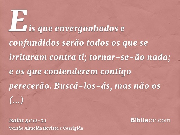 Eis que envergonhados e confundidos serão todos os que se irritaram contra ti; tornar-se-ão nada; e os que contenderem contigo perecerão.Buscá-los-ás, mas não o