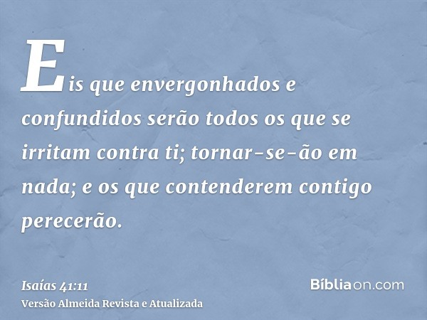 Eis que envergonhados e confundidos serão todos os que se irritam contra ti; tornar-se-ão em nada; e os que contenderem contigo perecerão.