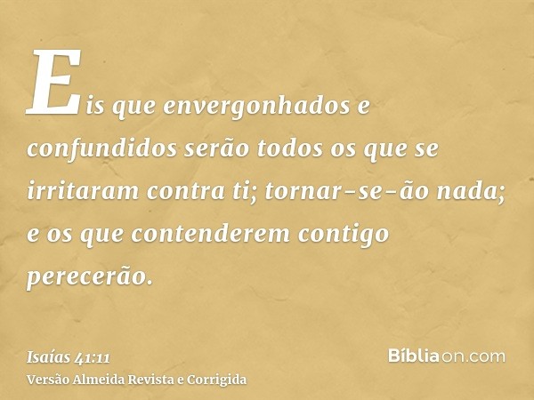 Eis que envergonhados e confundidos serão todos os que se irritaram contra ti; tornar-se-ão nada; e os que contenderem contigo perecerão.