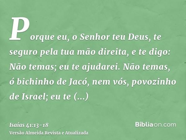 Porque eu, o Senhor teu Deus, te seguro pela tua mão direita, e te digo: Não temas; eu te ajudarei.Não temas, ó bichinho de Jacó, nem vós, povozinho de Israel;