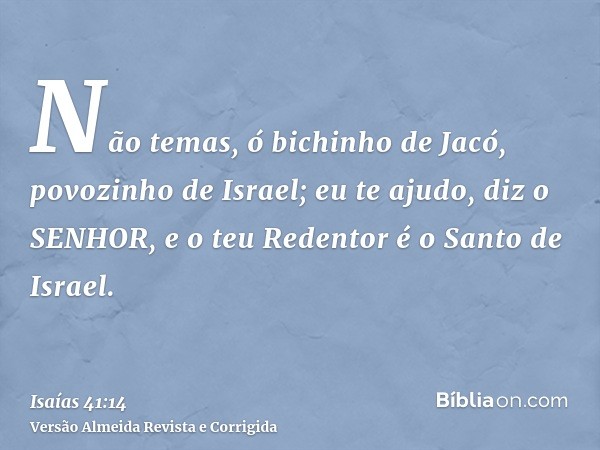 Não temas, ó bichinho de Jacó, povozinho de Israel; eu te ajudo, diz o SENHOR, e o teu Redentor é o Santo de Israel.