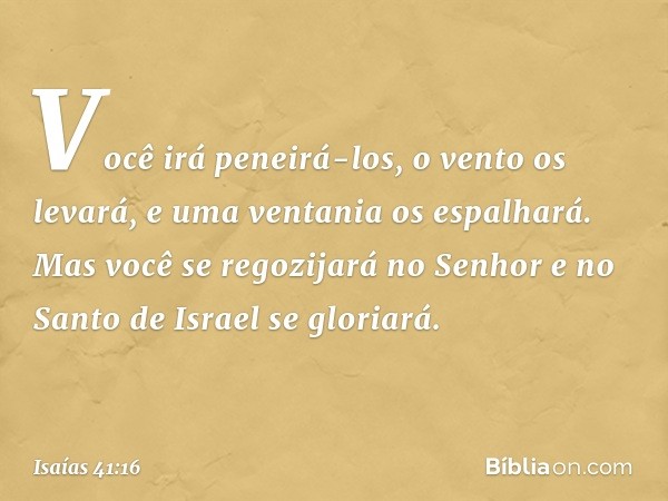 Você irá peneirá-los, o vento os levará,
e uma ventania os espalhará.
Mas você se regozijará no Senhor
e no Santo de Israel se gloriará. -- Isaías 41:16